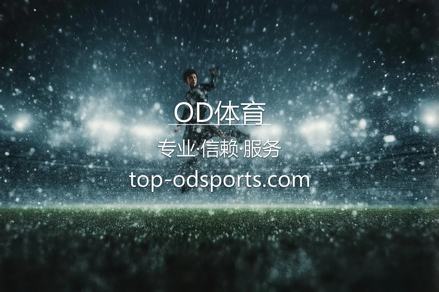 OD体育官方旗舰体验